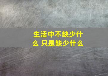 生活中不缺少什么 只是缺少什么